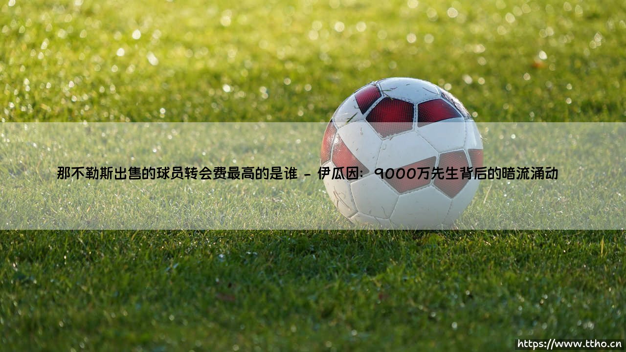 那不勒斯出售的球员转会费最高的是谁？-「揭秘」意甲豪门的标王交易史-第2张图片-天体号