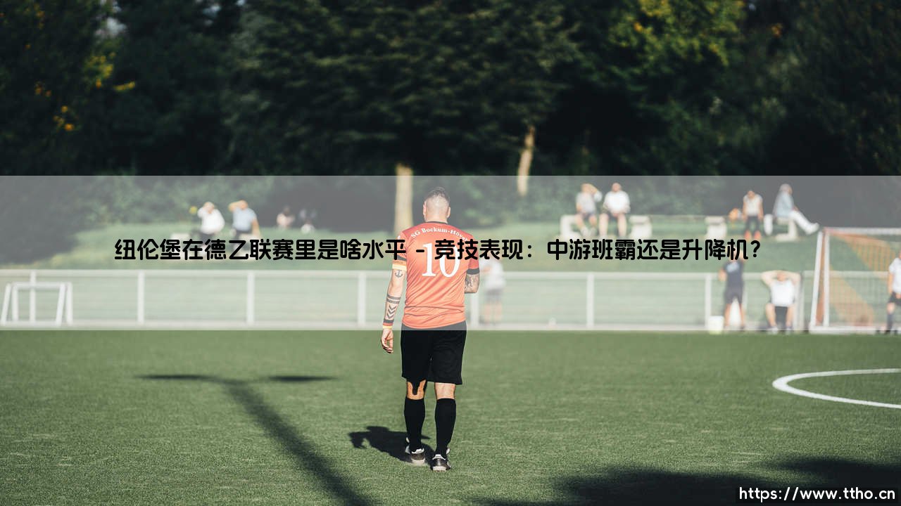 纽伦堡在德乙联赛里是啥水平?深入解析这支传统劲旅的现状-第1张图片-天体号 纽伦堡在德乙联赛里是啥水平?深入解析这支传统劲旅的现状-第1张图片-天体号