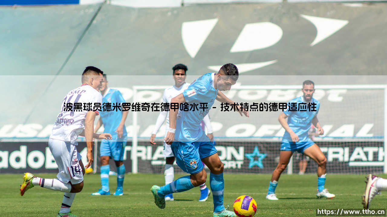 波黑锋线利刃德米罗维奇:解析德甲赛场的波黑球员真实水平-第1张图片-天体号 波黑锋线利刃德米罗维奇:解析德甲赛场的波黑球员真实水平-第1张图片-天体号