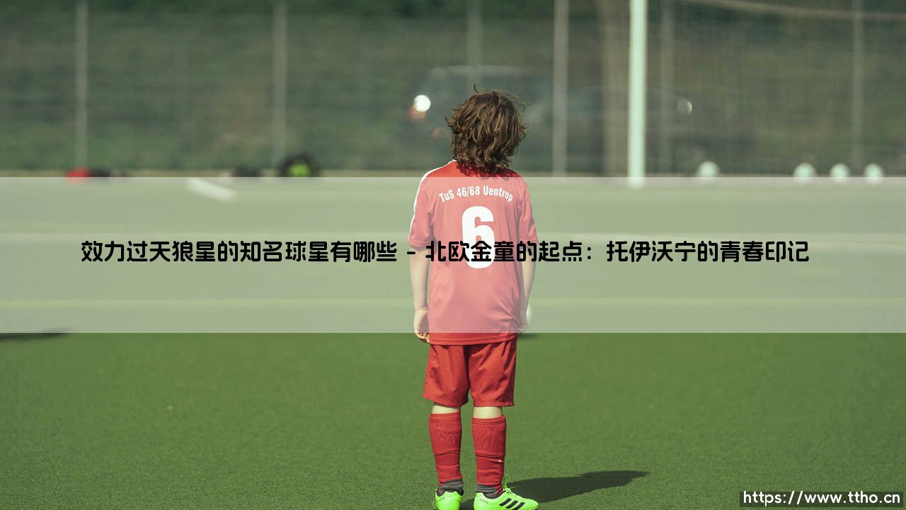 效力过天狼星的知名球星有哪些?盘点那些「天狼星」闪耀过的足坛传奇-第1张图片-天体号 效力过天狼星的知名球星有哪些?盘点那些「天狼星」闪耀过的足坛传奇-第1张图片-天体号