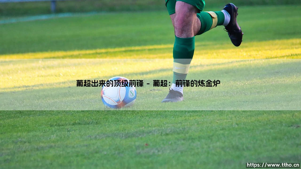 葡超走出的顶级前锋：绿茵场上的璀璨明珠-第1张图片-天体号