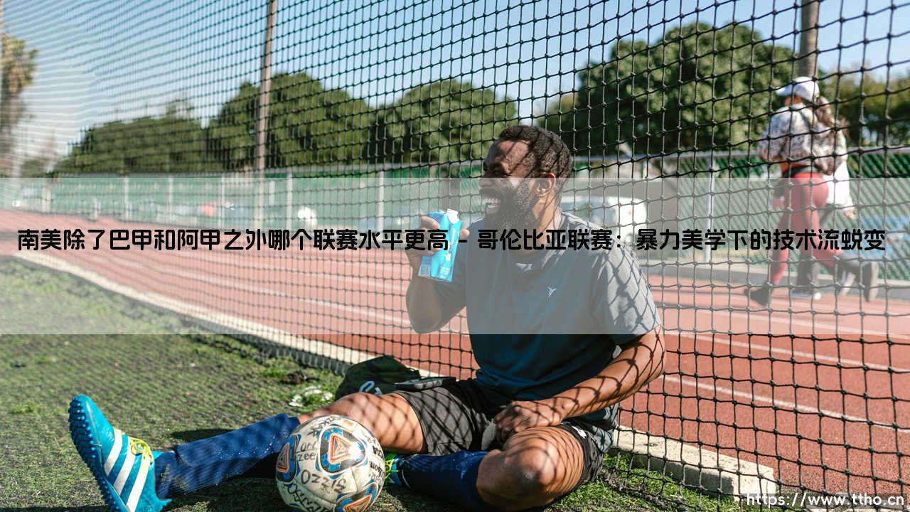 南美除了巴甲和阿甲之外哪个联赛水平更高?探寻「南美第三联赛」的足球版图密码-第1张图片-天体号 南美除了巴甲和阿甲之外哪个联赛水平更高?探寻「南美第三联赛」的足球版图密码-第1张图片-天体号
