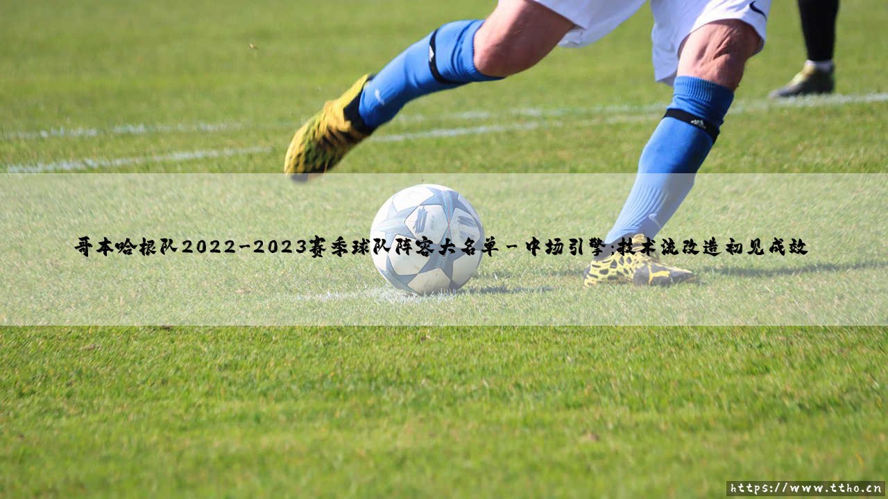 哥本哈根队2022-2023赛季球队阵容大名单：全面解析哥本哈根队新赛季战力蓝图-第3张图片-天体号