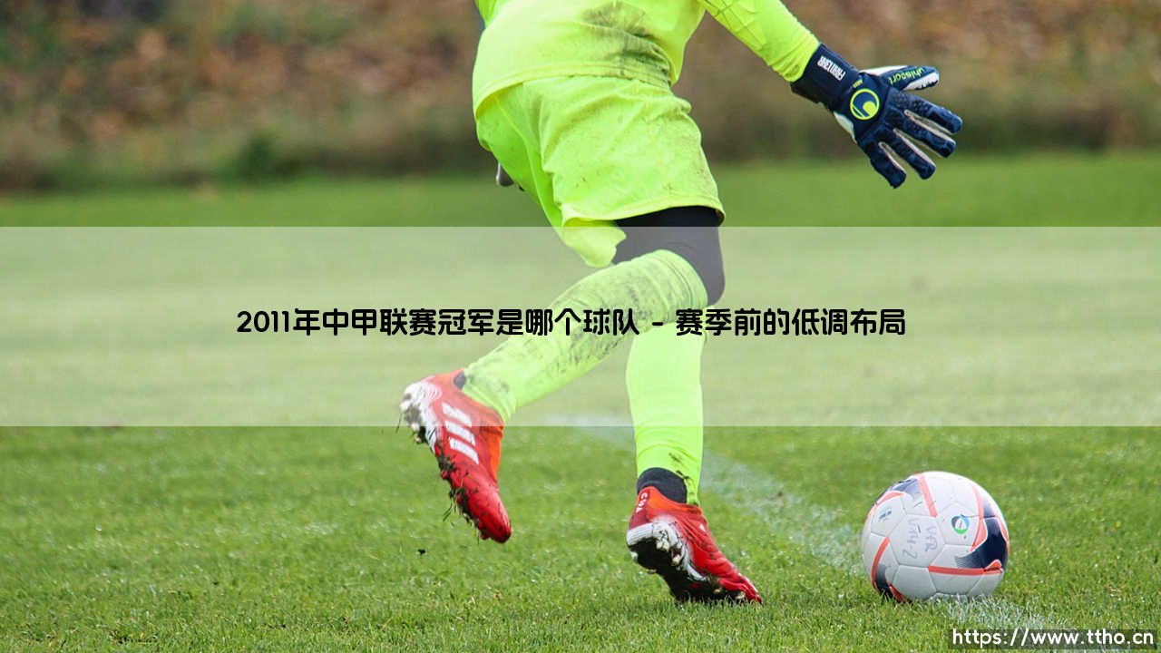 2011年中甲联赛冠军是哪个球队？揭秘大连阿尔滨的冲超传奇-第1张图片-天体号