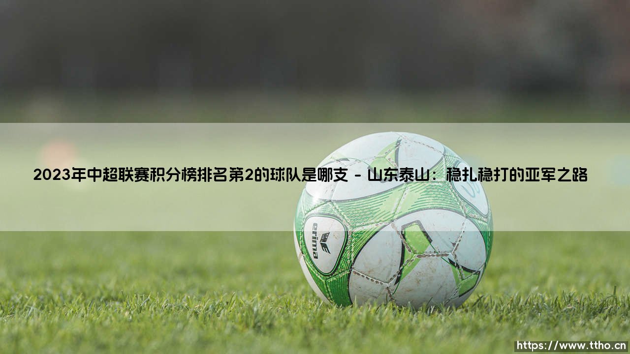 2023年中超联赛积分榜排名第2的球队是哪支？揭秘「绿茵场上的亚军之争」-第1张图片-天体号