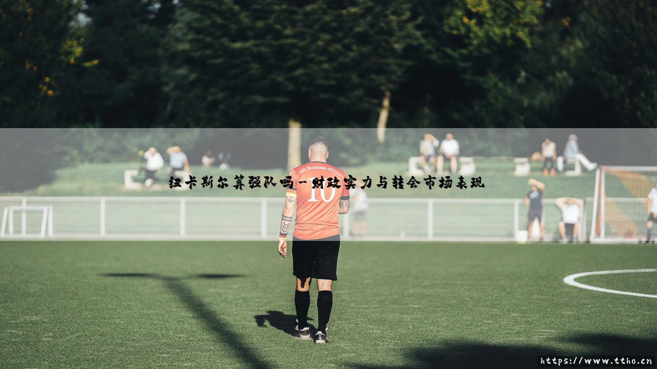 纽卡斯尔算强队吗?——深度解析纽卡斯尔联队的英超竞争力-第3张图片-天体号 纽卡斯尔算强队吗?——深度解析纽卡斯尔联队的英超竞争力-第3张图片-天体号