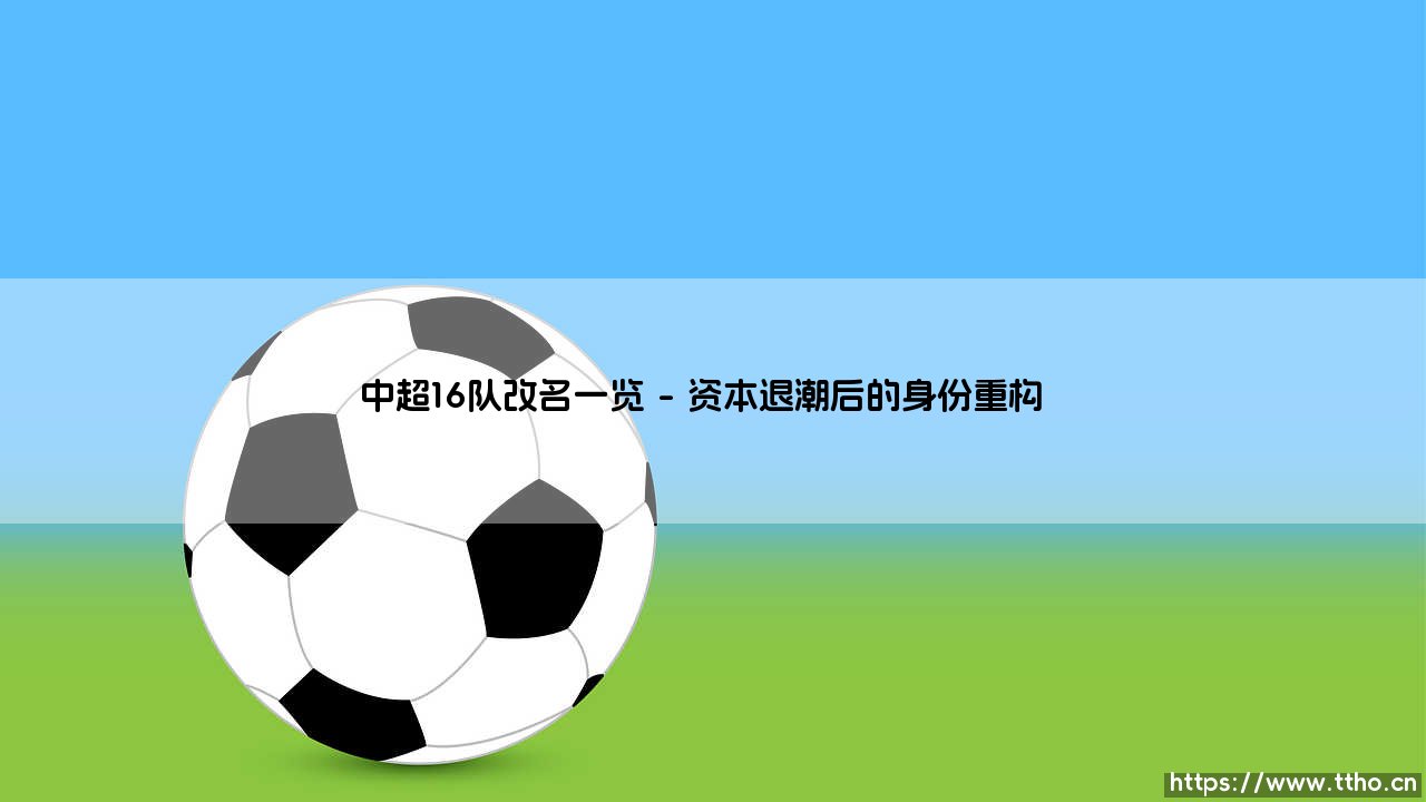 中超16队改名一览：当商业冠名遇上城市灵魂的碰撞-第1张图片-天体号