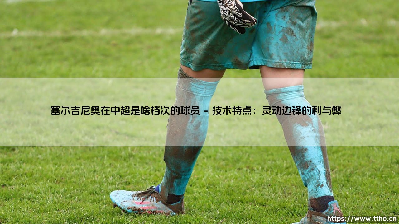 塞尔吉尼奥在中超是啥档次的球员?深度解析巴西边锋的江湖地位-第1张图片-天体号 塞尔吉尼奥在中超是啥档次的球员?深度解析巴西边锋的江湖地位-第1张图片-天体号