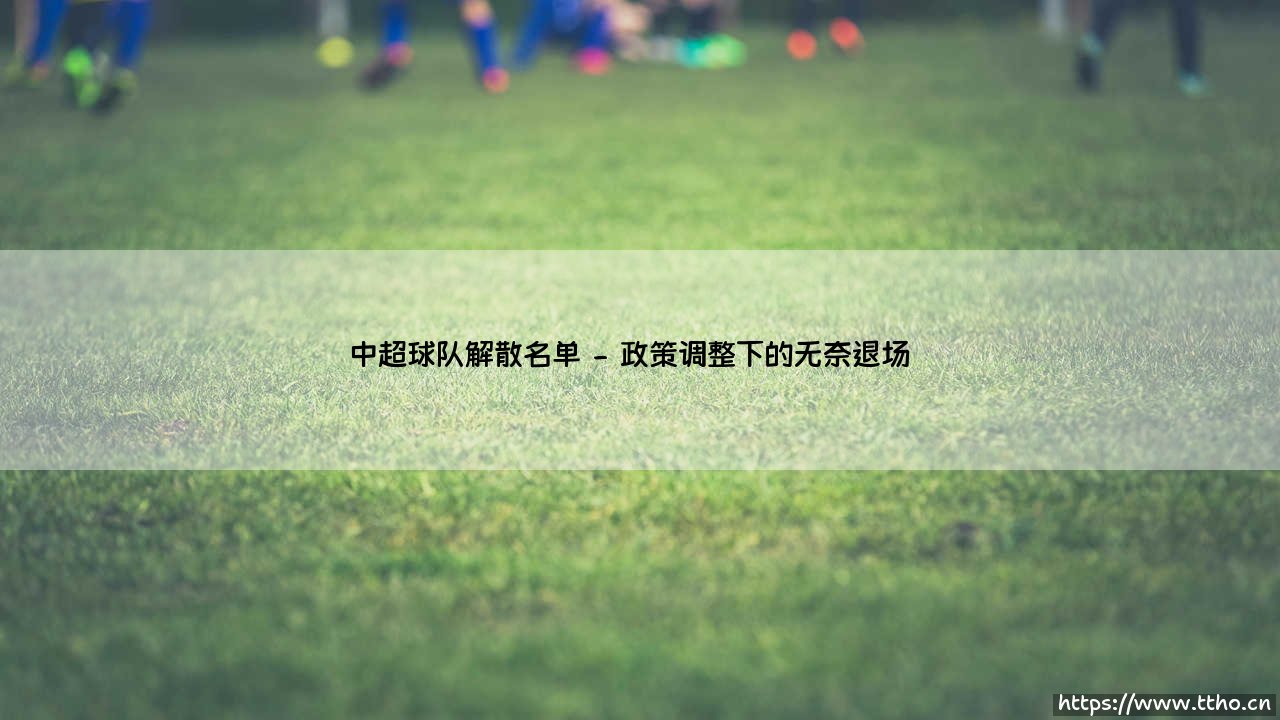 中超球队解散名单:那些消失的绿茵传奇,你都还记得吗?「盘点近十年告别中超的俱乐部」-第2张图片-天体号 中超球队解散名单:那些消失的绿茵传奇,你都还记得吗?「盘点近十年告别中超的俱乐部」-第2张图片-天体号