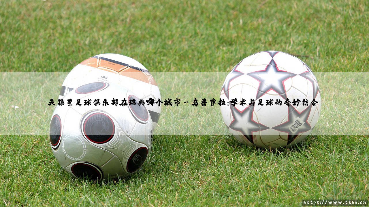 天狼星足球俱乐部在瑞典哪个城市?揭秘这支球队的家乡「天狼星」的大本营究竟在哪里?-第3张图片-天体号 天狼星足球俱乐部在瑞典哪个城市?揭秘这支球队的家乡「天狼星」的大本营究竟在哪里?-第3张图片-天体号
