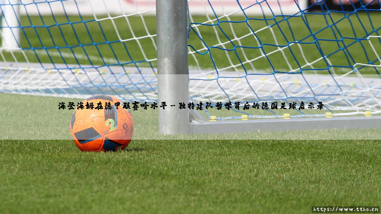 海登海姆在德甲联赛啥水平？一支小城球队的逆袭之路-第3张图片-天体号