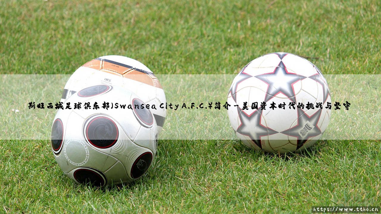 斯旺西城足球俱乐部(Swansea City A.F.C.):威尔士红龙的英超逆袭密码是什么?-第3张图片-天体号 斯旺西城足球俱乐部(Swansea City A.F.C.):威尔士红龙的英超逆袭密码是什么?-第3张图片-天体号