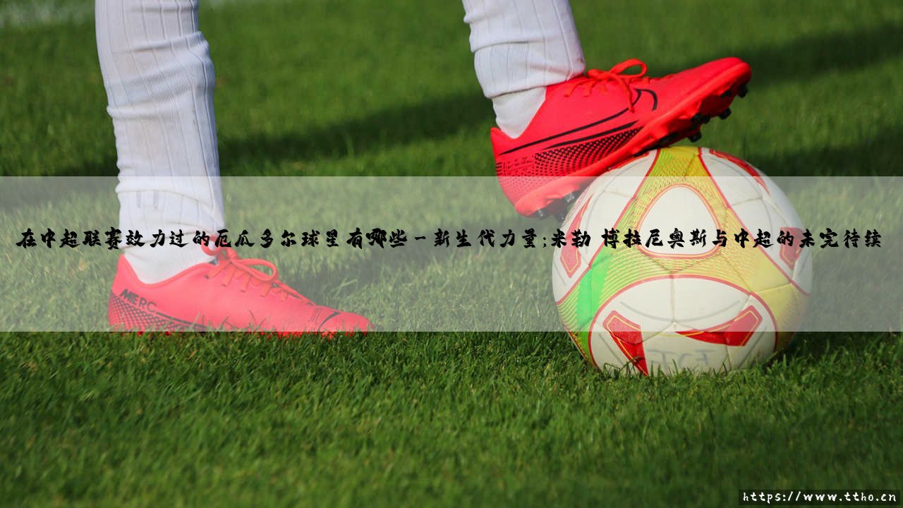 在中超联赛效力过的厄瓜多尔球星大盘点-第3张图片-天体号