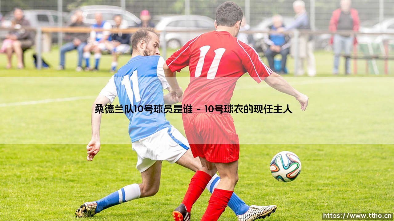 桑德兰队10号球员是谁？揭秘「光明球场」的传奇号码主人-桑德兰10号的秘密档案-第1张图片-天体号