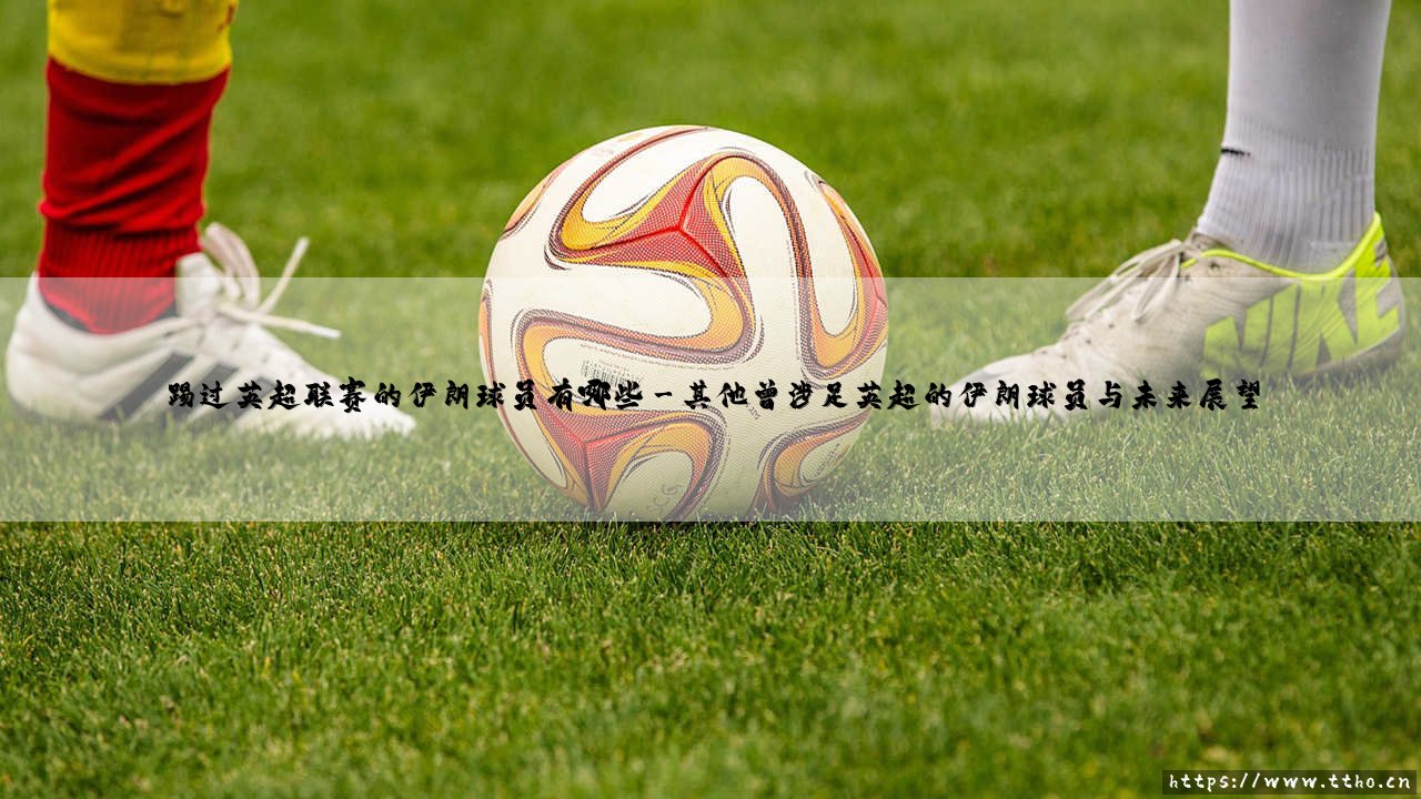 踢过英超联赛的伊朗球员有哪些?-第3张图片-天体号 踢过英超联赛的伊朗球员有哪些?-第3张图片-天体号