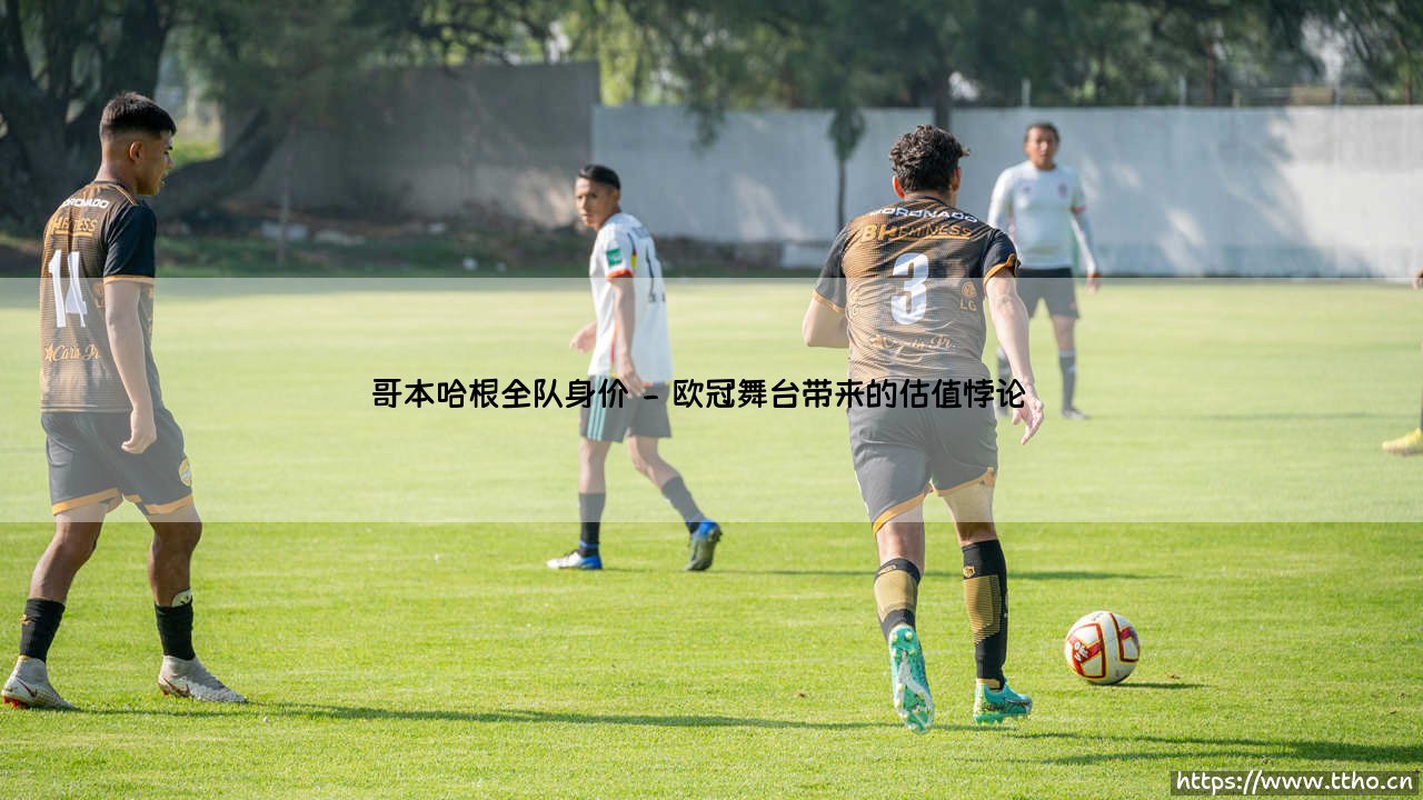 哥本哈根全队身价：北欧足球的价值密码与市场悖论-第2张图片-天体号