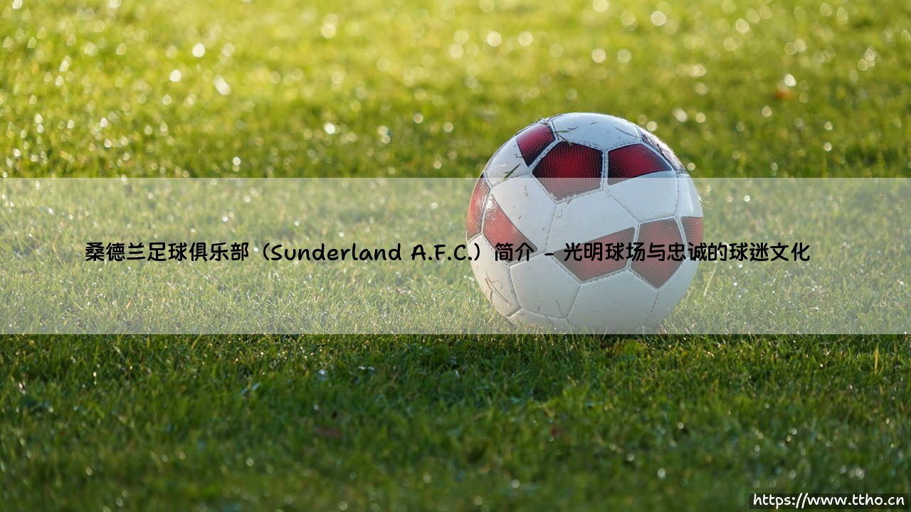 桑德兰足球俱乐部（Sunderland A.F.C.）简介深度分析-第2张图片-天体号