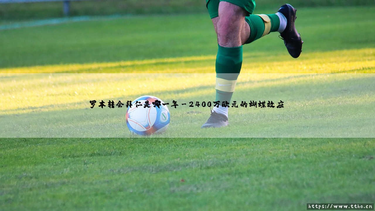 罗本转会拜仁:2009年那个改变德甲格局的夏天-第3张图片-天体号 罗本转会拜仁:2009年那个改变德甲格局的夏天-第3张图片-天体号