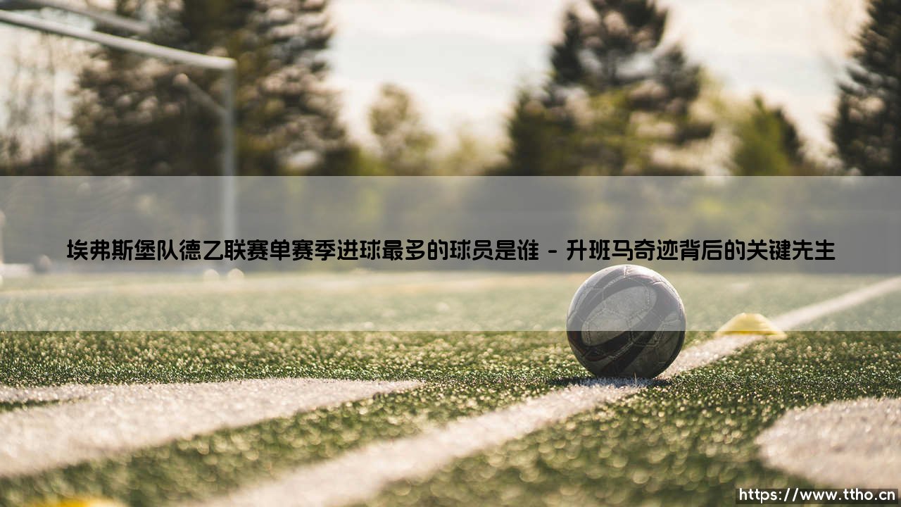 埃弗斯堡队德乙联赛单赛季进球最多的球员是谁？-第1张图片-天体号