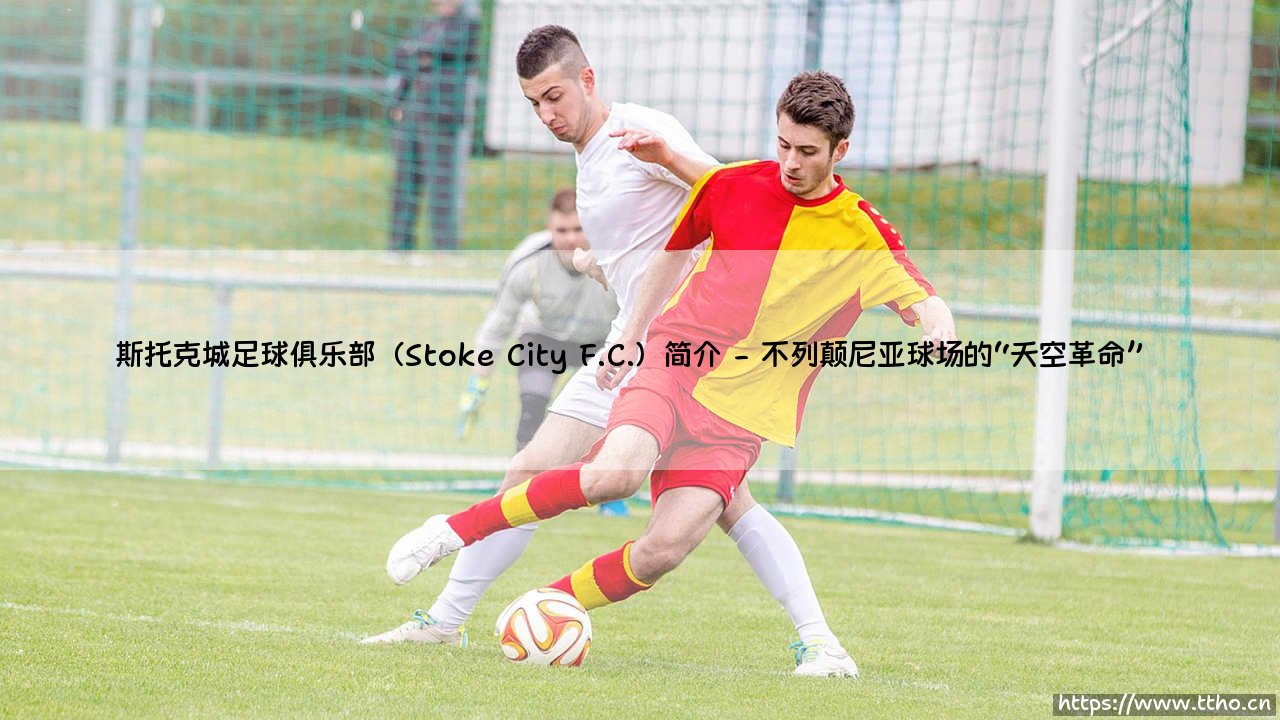 斯托克城足球俱乐部(Stoke City F.C.):陶瓷工的传统与革新-第2张图片-天体号 斯托克城足球俱乐部(Stoke City F.C.):陶瓷工的传统与革新-第2张图片-天体号
