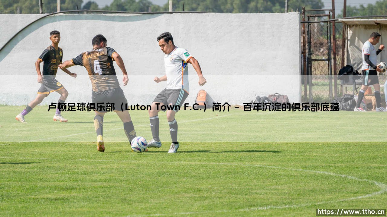 卢顿足球俱乐部(Luton Town F.C.)简介:一支草根豪门的逆袭史诗-第1张图片-天体号 卢顿足球俱乐部(Luton Town F.C.)简介:一支草根豪门的逆袭史诗-第1张图片-天体号