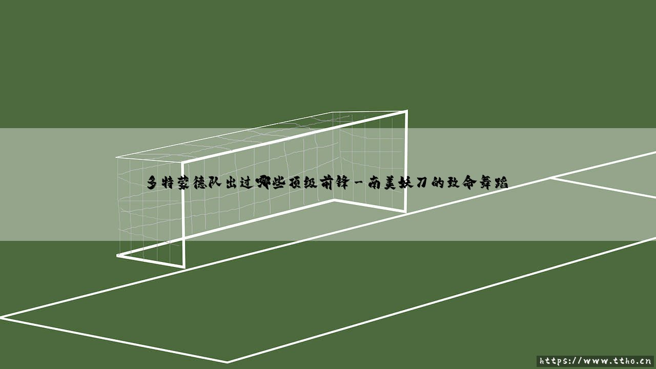 多特蒙德队出过哪些顶级前锋?「黄黑军团」历史上的锋线传奇盘点-第3张图片-天体号 多特蒙德队出过哪些顶级前锋?「黄黑军团」历史上的锋线传奇盘点-第3张图片-天体号