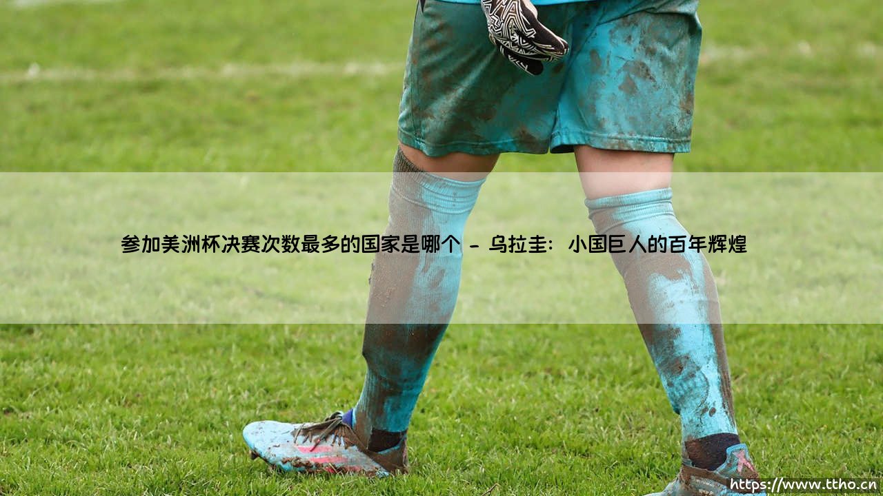 参加美洲杯决赛次数最多的国家是哪个？揭秘南美足球的王者之争-第2张图片-天体号