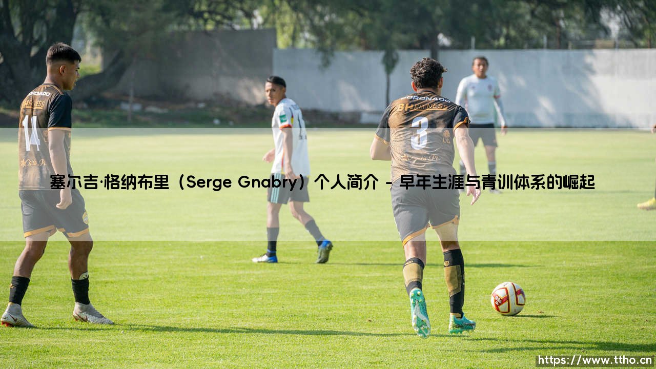 塞尔吉·格纳布里(Serge Gnabry)个人简介:从斯图加特到拜仁的闪耀之路-第1张图片-天体号 塞尔吉·格纳布里(Serge Gnabry)个人简介:从斯图加特到拜仁的闪耀之路-第1张图片-天体号