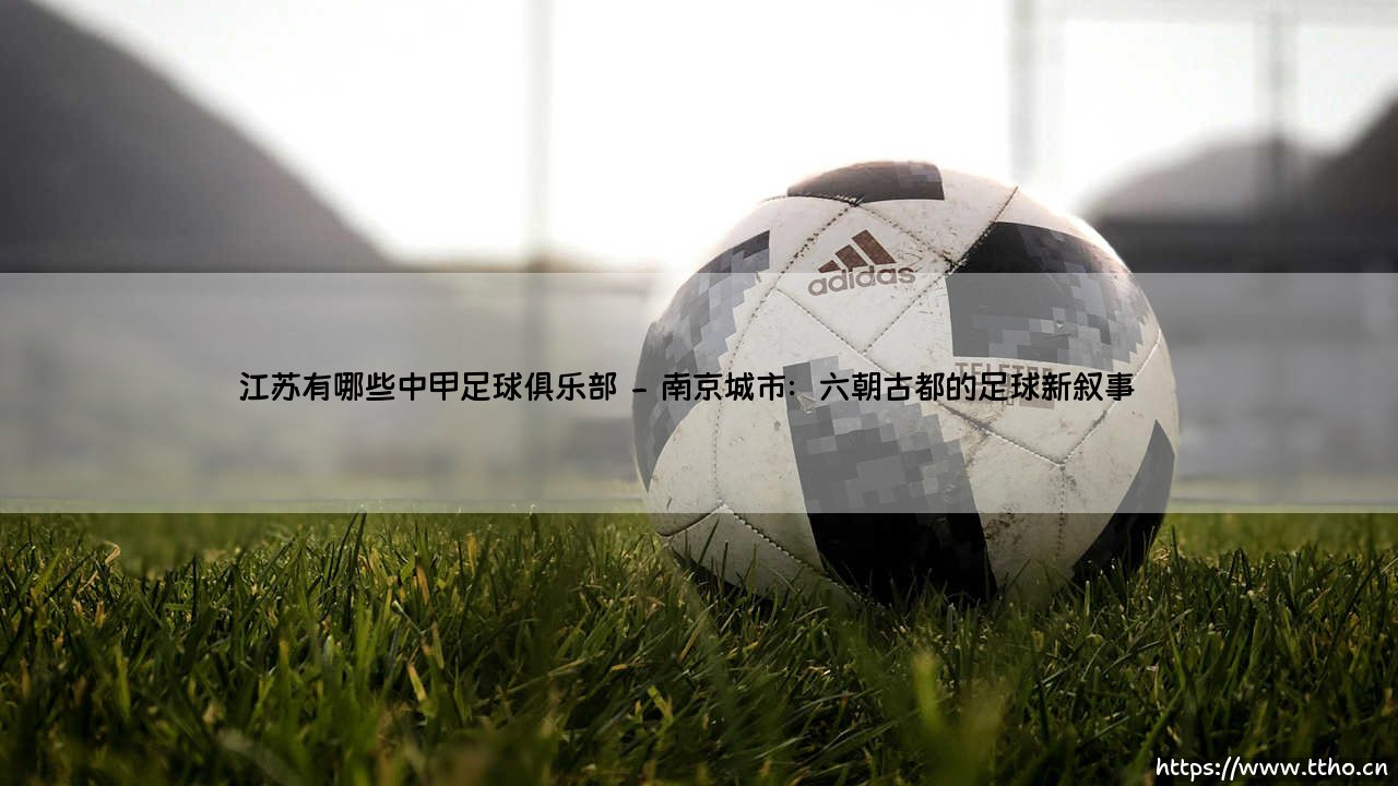 江苏足球版图:中甲赛场背后的地域文化与竞技野心-第2张图片-天体号 江苏足球版图:中甲赛场背后的地域文化与竞技野心-第2张图片-天体号