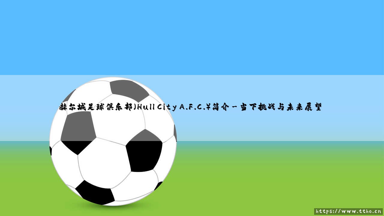 赫尔城足球俱乐部(Hull City A.F.C.)简介详解-第3张图片-天体号 赫尔城足球俱乐部(Hull City A.F.C.)简介详解-第3张图片-天体号