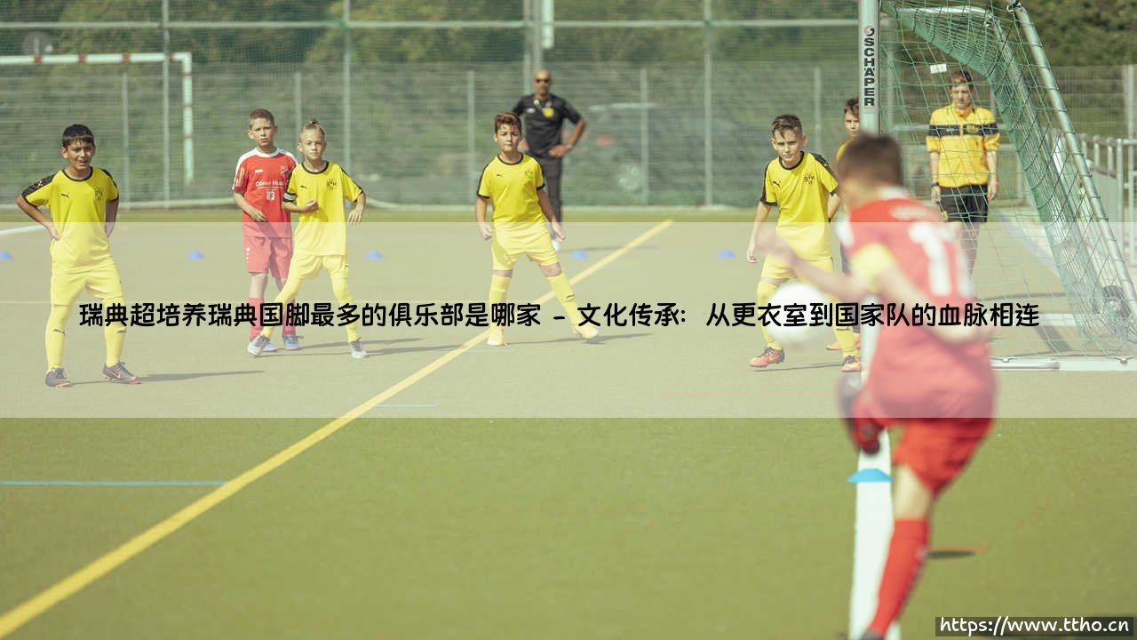 瑞典超培养瑞典国脚最多的俱乐部是哪家?-第2张图片-天体号 瑞典超培养瑞典国脚最多的俱乐部是哪家?-第2张图片-天体号