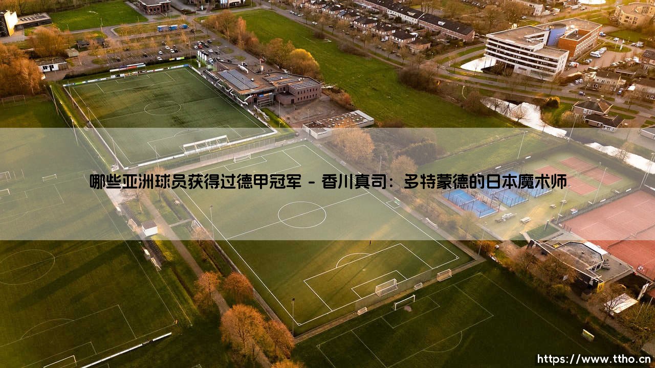 哪些亚洲球员获得过德甲冠军?揭秘绿茵场上的东方传奇-第1张图片-天体号 哪些亚洲球员获得过德甲冠军?揭秘绿茵场上的东方传奇-第1张图片-天体号