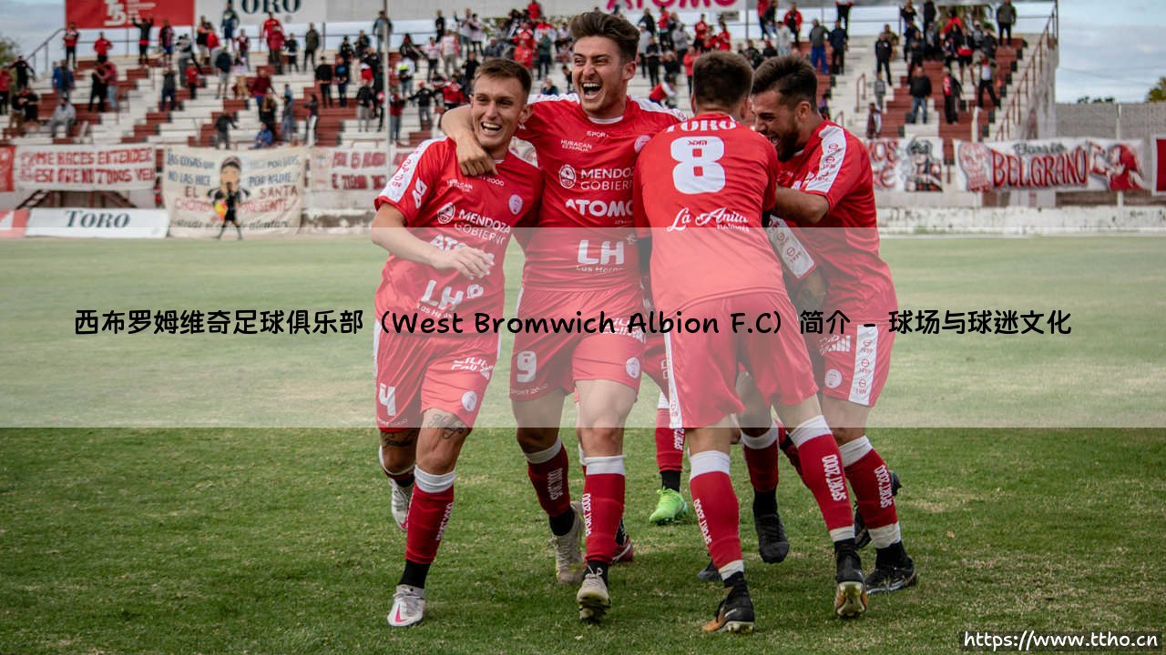 西布罗姆维奇足球俱乐部（West Bromwich Albion F.C）简介全面解读-第2张图片-天体号