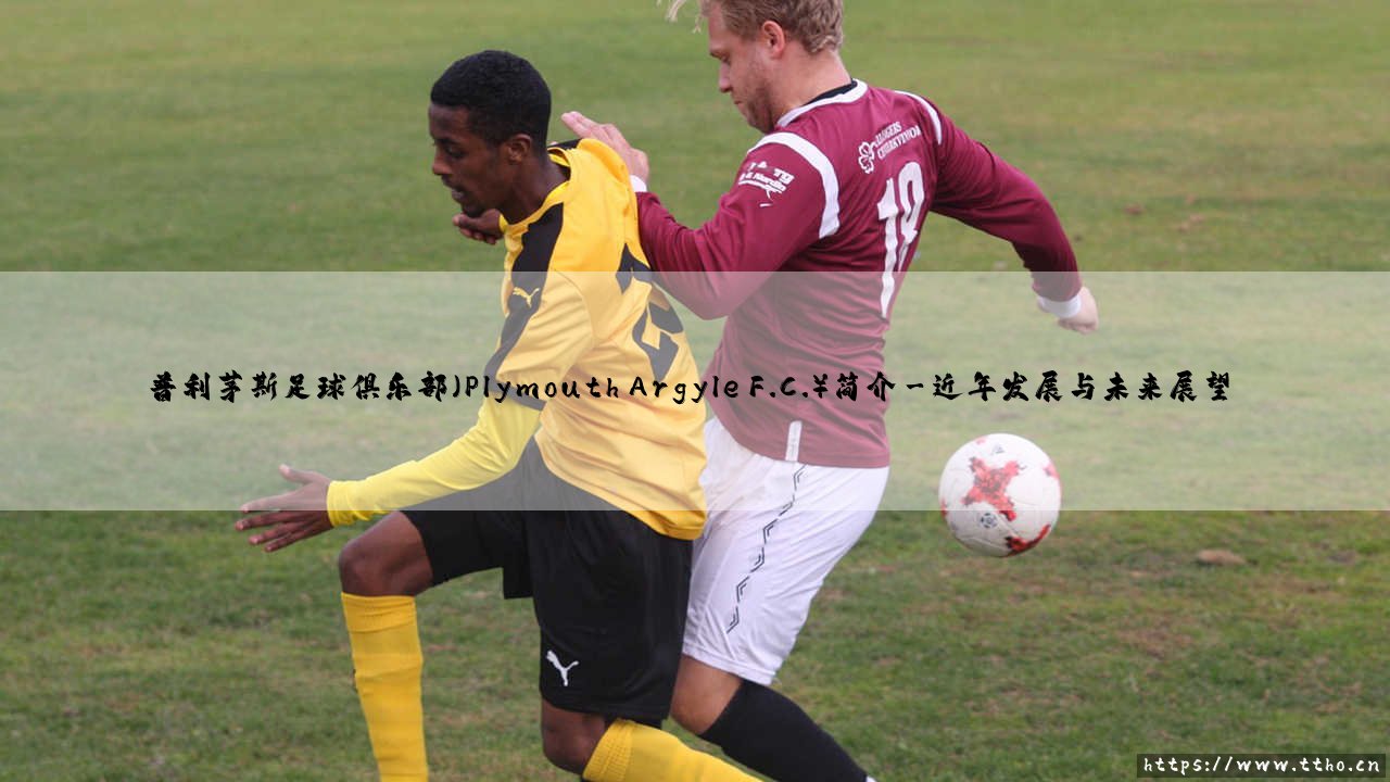 普利茅斯足球俱乐部(Plymouth Argyle F.C.)简介深度分析-第3张图片-天体号 普利茅斯足球俱乐部(Plymouth Argyle F.C.)简介深度分析-第3张图片-天体号