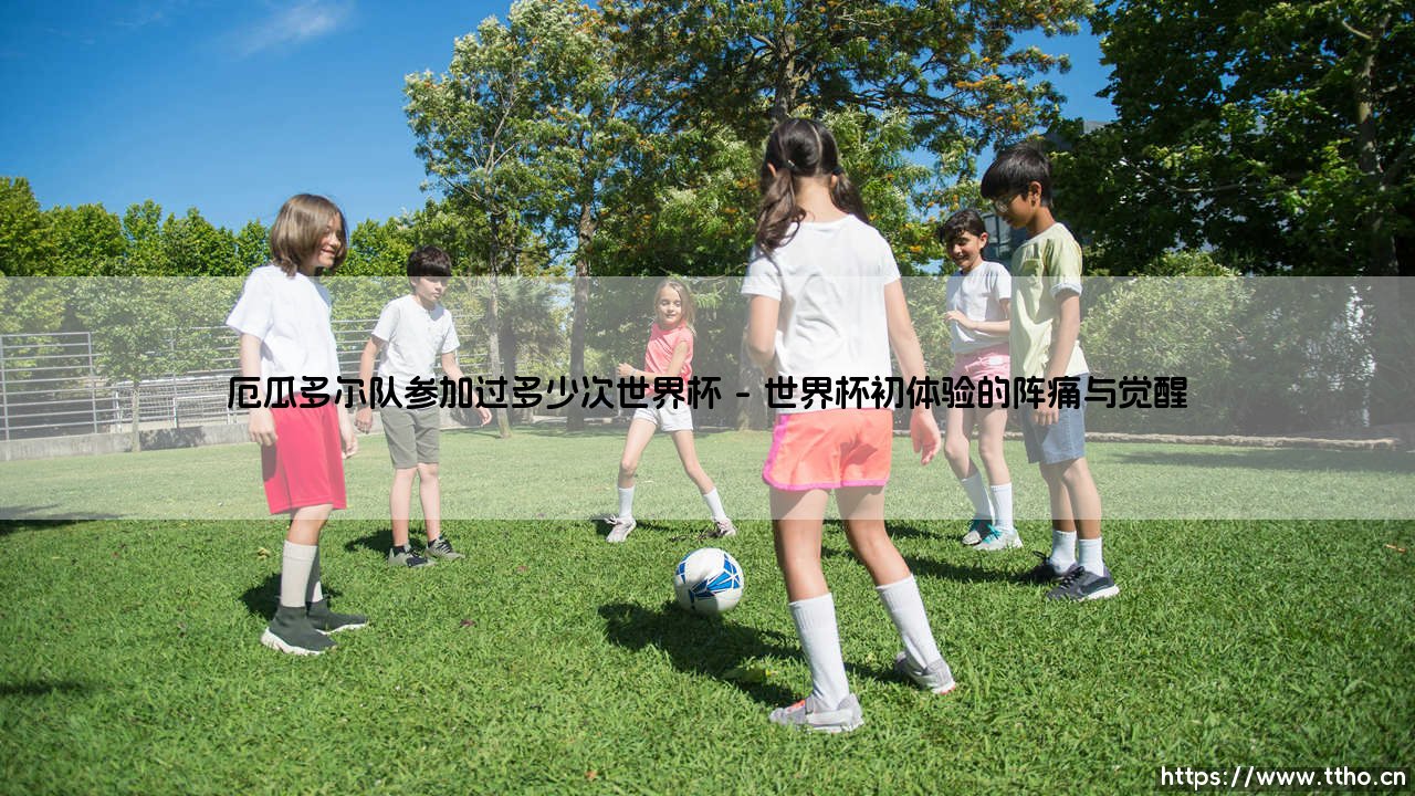 厄瓜多尔队的世界杯征程:揭秘厄瓜多尔队参加过多少次世界杯-第1张图片-天体号 厄瓜多尔队的世界杯征程:揭秘厄瓜多尔队参加过多少次世界杯-第1张图片-天体号