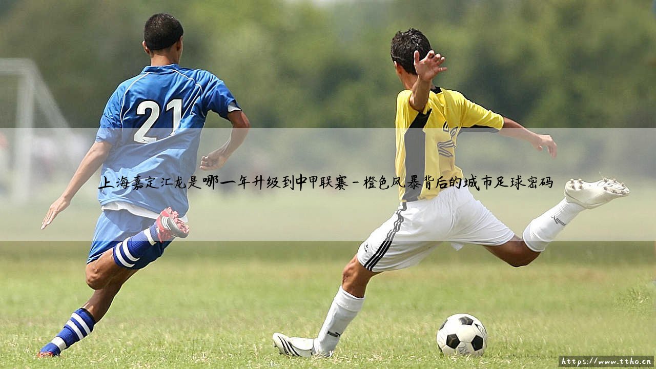上海嘉定汇龙何时冲甲成功?这支黑马球队的里程碑之年「2022」揭晓-第4张图片-天体号 上海嘉定汇龙何时冲甲成功?这支黑马球队的里程碑之年「2022」揭晓-第4张图片-天体号
