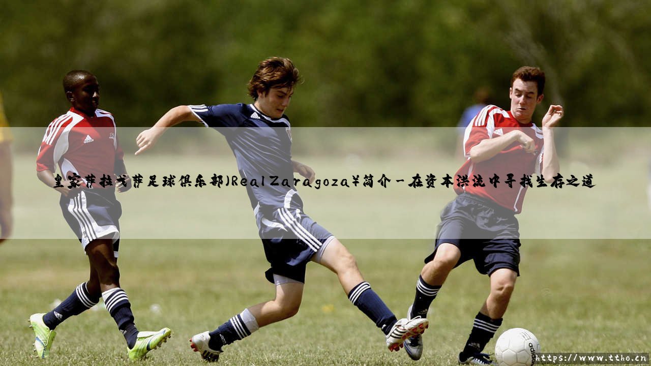 皇家萨拉戈萨足球俱乐部:荣耀、沉浮与足球文化的坚守-第3张图片-天体号 皇家萨拉戈萨足球俱乐部:荣耀、沉浮与足球文化的坚守-第3张图片-天体号