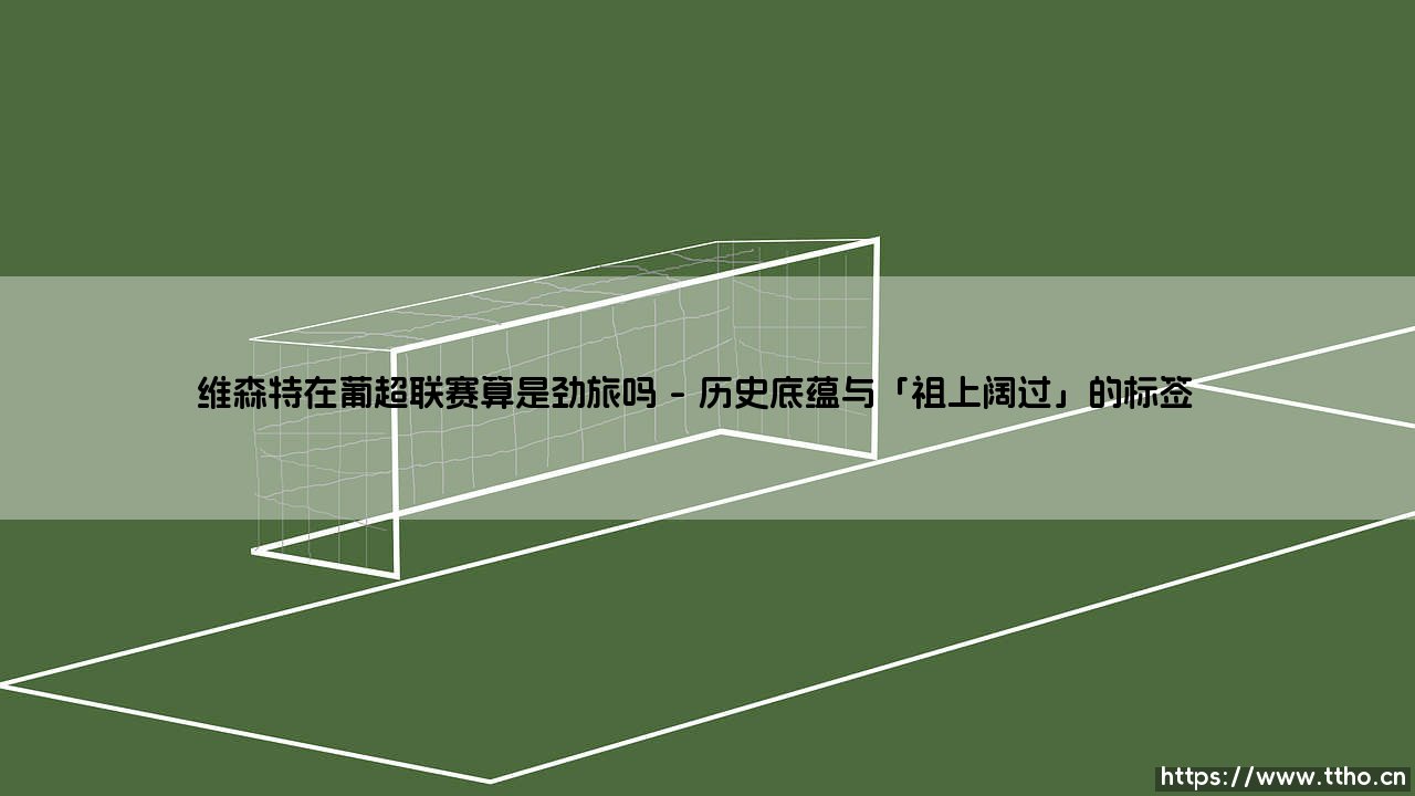 维森特在葡超联赛算是劲旅吗？——聊聊这支葡萄牙老牌球队的「江湖地位」-第1张图片-天体号