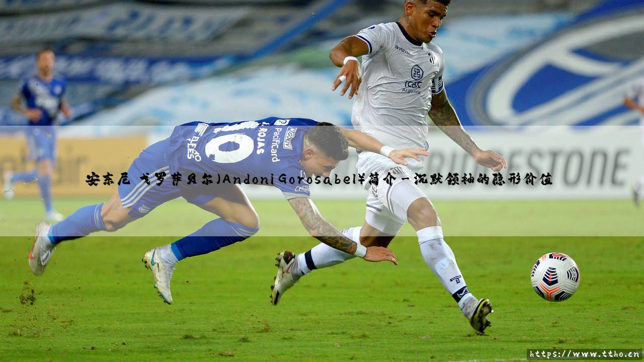 安东尼·戈罗萨贝尔（Andoni Gorosabel）是谁？——全面解析安东尼·戈罗萨贝尔的职业生涯与影响力-第3张图片-天体号