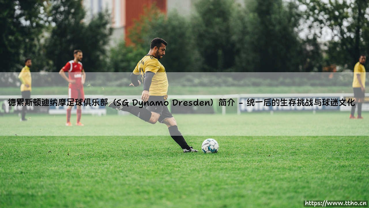 德累斯顿迪纳摩足球俱乐部:一支怎样的球队?「SG Dynamo Dresden」的前世今生-第2张图片-天体号 德累斯顿迪纳摩足球俱乐部:一支怎样的球队?「SG Dynamo Dresden」的前世今生-第2张图片-天体号