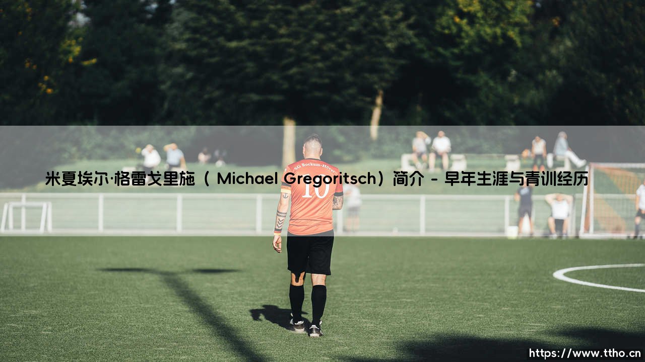 米夏埃尔·格雷戈里施(Michael Gregoritsch)简介-第1张图片-天体号 米夏埃尔·格雷戈里施(Michael Gregoritsch)简介-第1张图片-天体号