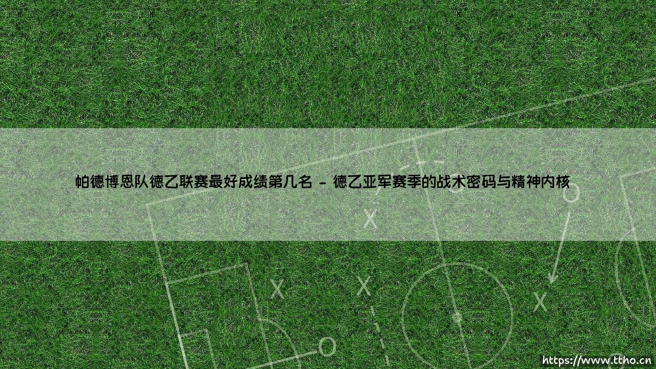 帕德博恩队德乙征程：德乙联赛最好成绩第几名的荣耀之路-第2张图片-天体号