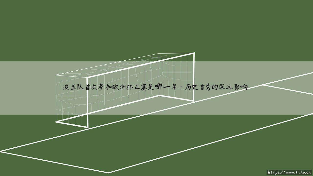 波兰队首次欧洲杯正赛是哪一年？揭秘「白鹰军团」的破冰时刻 - 2008年他们如何创造历史？-第4张图片-天体号