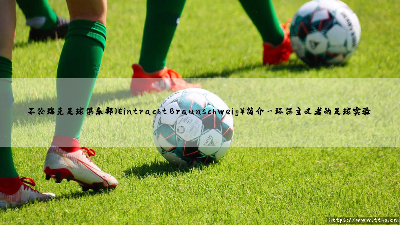 不伦瑞克足球俱乐部:小城故事里的大梦想-第3张图片-天体号 不伦瑞克足球俱乐部:小城故事里的大梦想-第3张图片-天体号