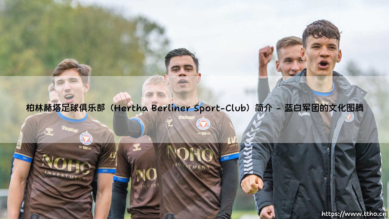 柏林赫塔足球俱乐部（Hertha Berliner Sport-Club）简介指南-第2张图片-天体号
