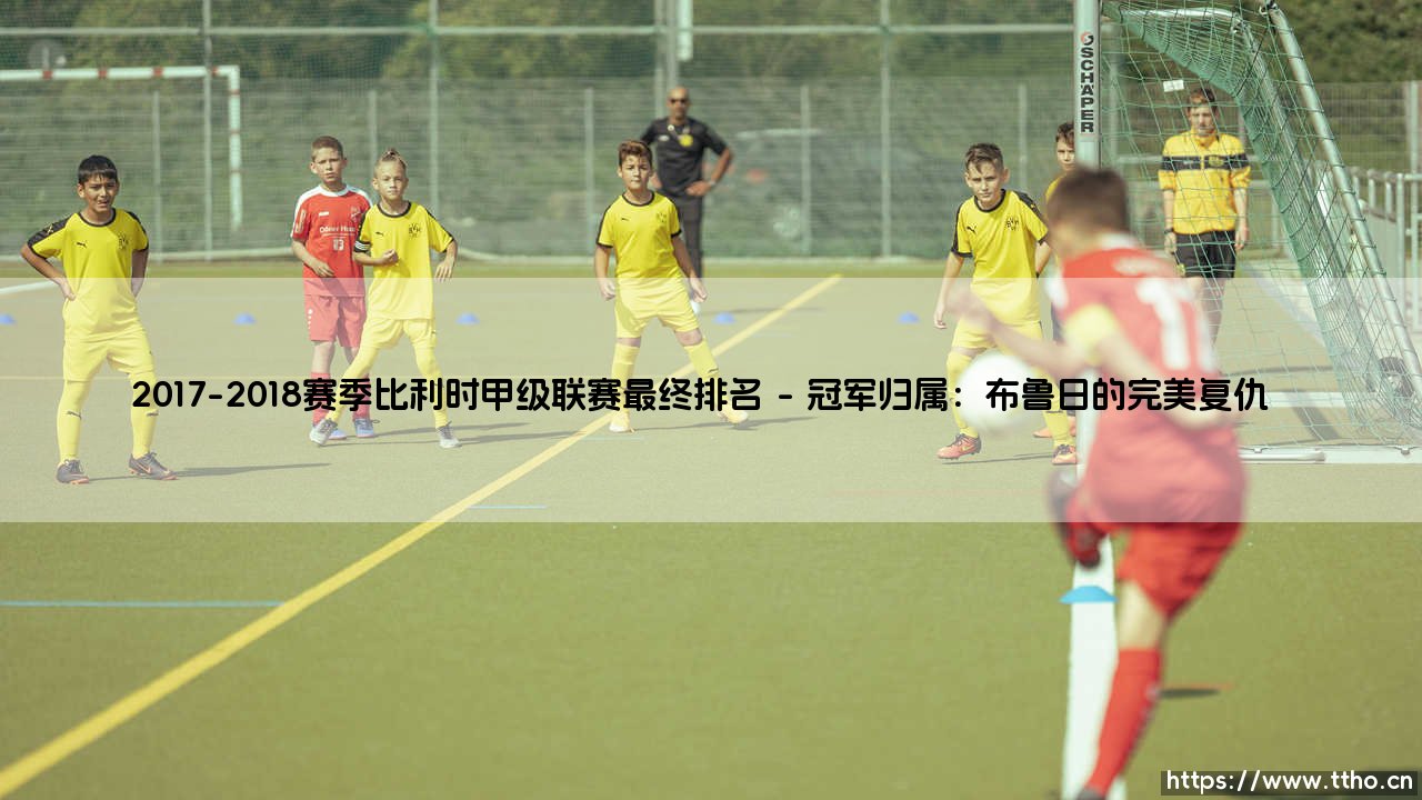 2017-2018赛季比利时甲级联赛最终排名揭晓：冠军之争与格局变迁全解析-第1张图片-天体号