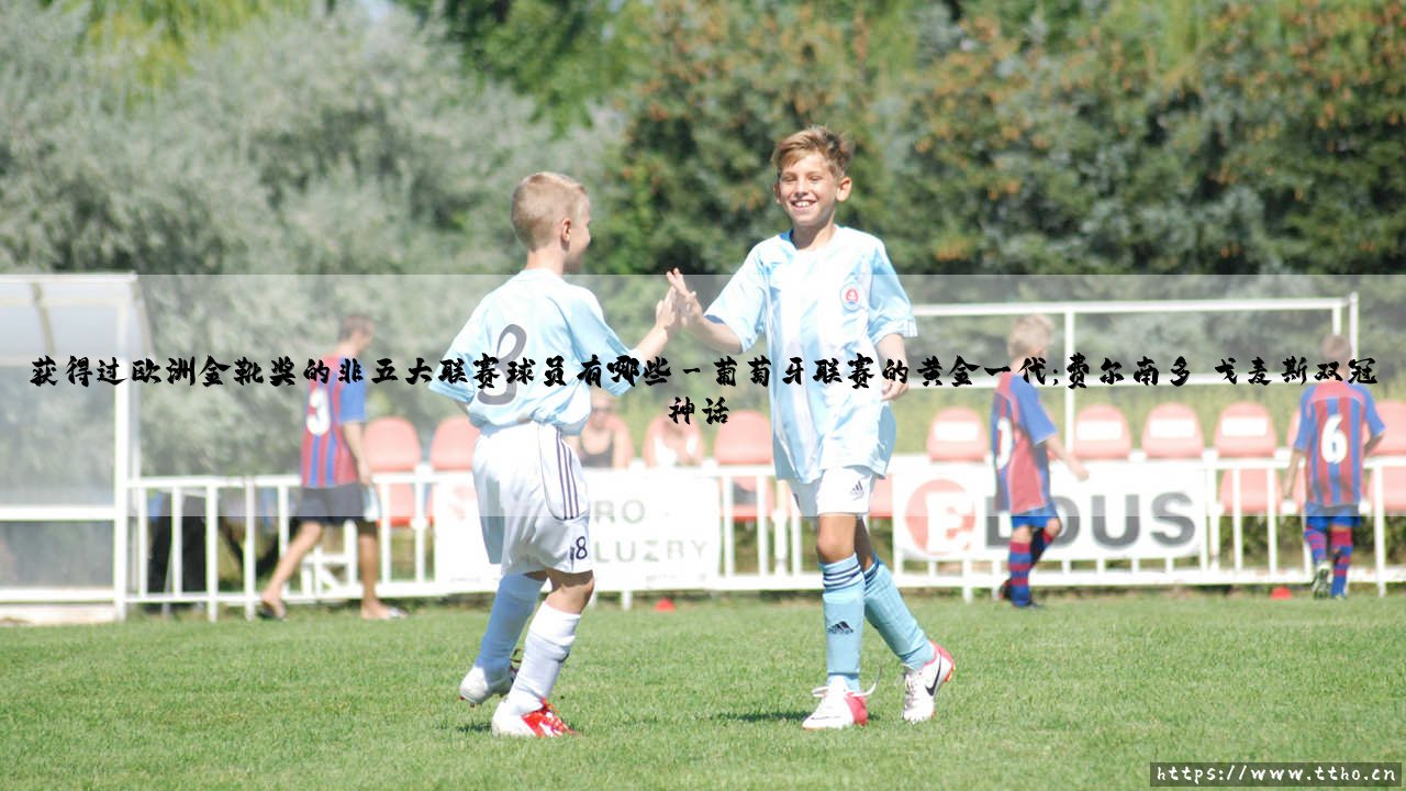 欧洲金靴奖的冷门传奇:那些非五大联赛球员如何登顶金靴之巅-第3张图片-天体号 欧洲金靴奖的冷门传奇:那些非五大联赛球员如何登顶金靴之巅-第3张图片-天体号