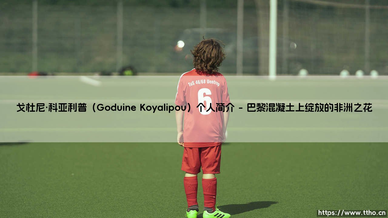 戈杜尼·科亚利普:从法乙新秀到非洲之光的崛起之路 戈杜尼·科亚利普的足球传奇-第1张图片-天体号 戈杜尼·科亚利普:从法乙新秀到非洲之光的崛起之路 戈杜尼·科亚利普的足球传奇-第1张图片-天体号