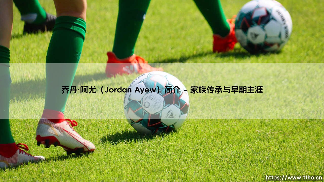 乔丹·阿尤（Jordan Ayew）简介解析-第1张图片-天体号