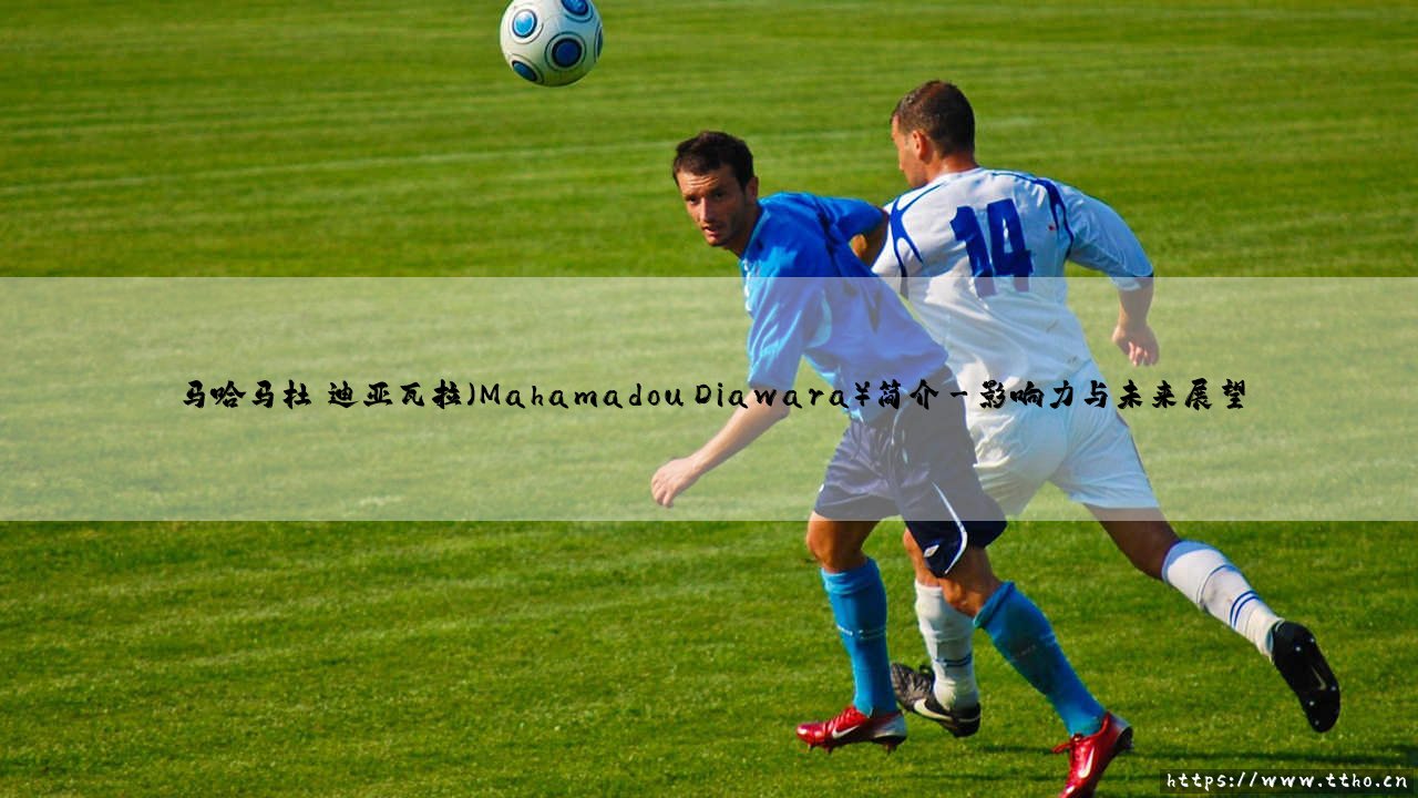 马哈马杜·迪亚瓦拉(Mahamadou Diawara)简介解析-第3张图片-天体号 马哈马杜·迪亚瓦拉(Mahamadou Diawara)简介解析-第3张图片-天体号
